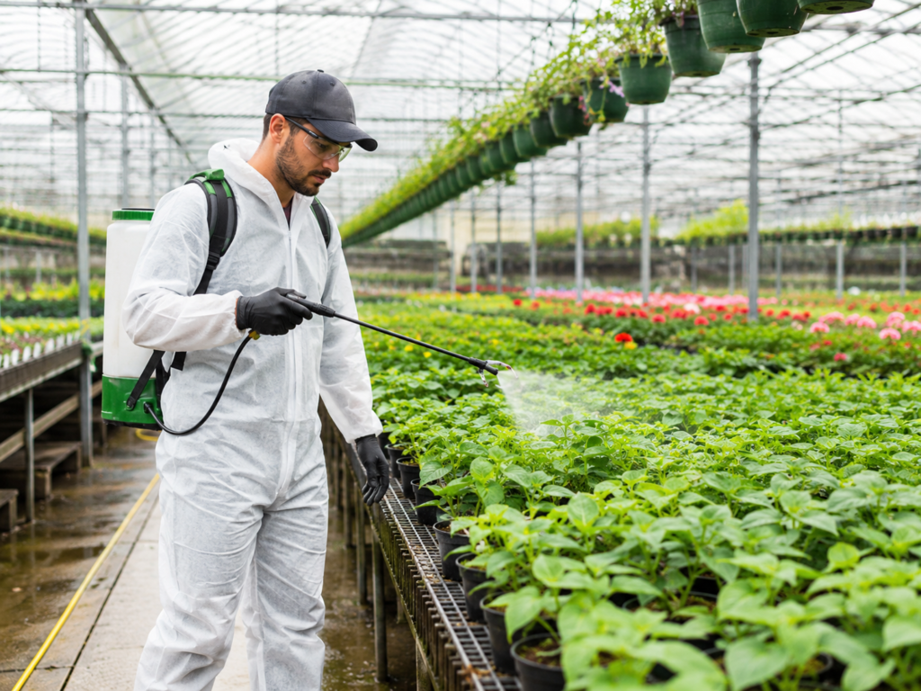 Battery sprayer used in greenhouse and nursery spraying for seedlings and plants
